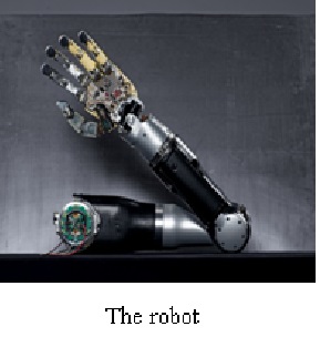 THE ROBOT
